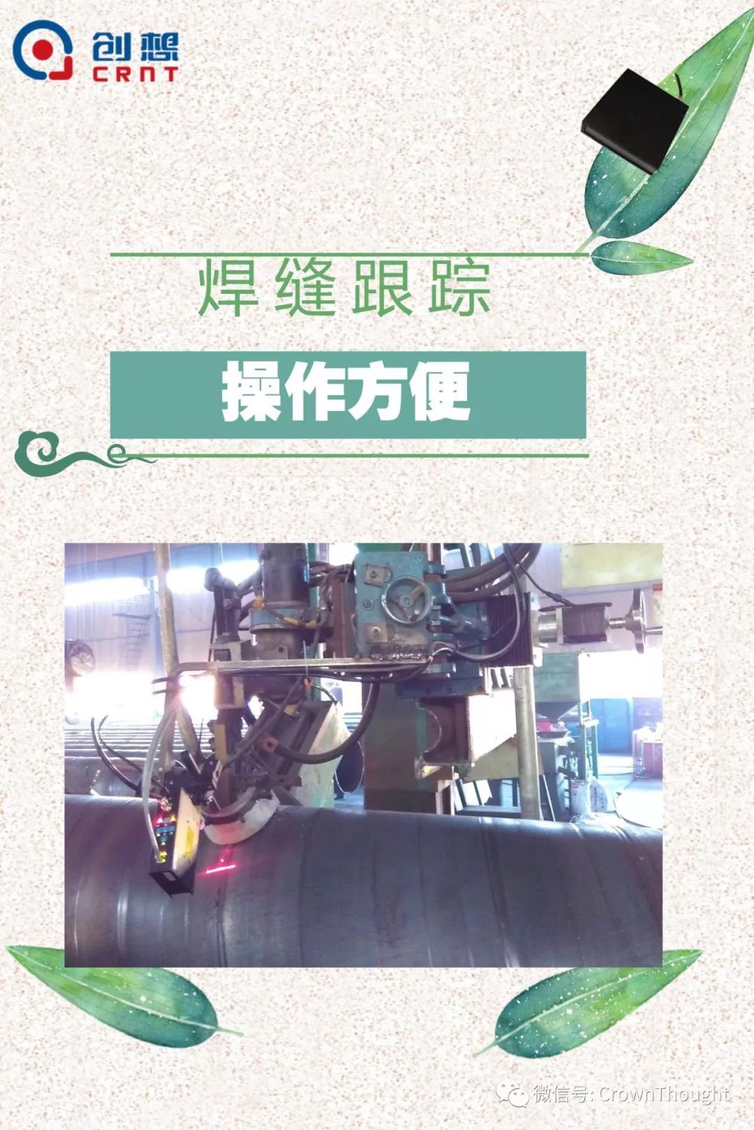 粽葉帶來(lái)的不僅僅是粽子，還有...
