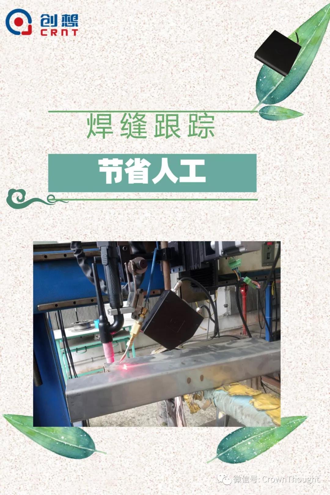 粽葉帶來(lái)的不僅僅是粽子，還有...